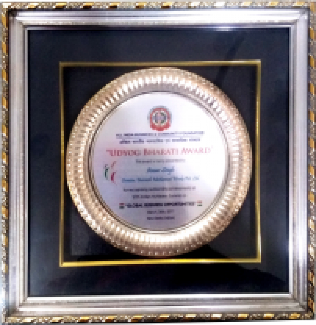 Dasmesh - Udyog Bharti Award  2011 Winner