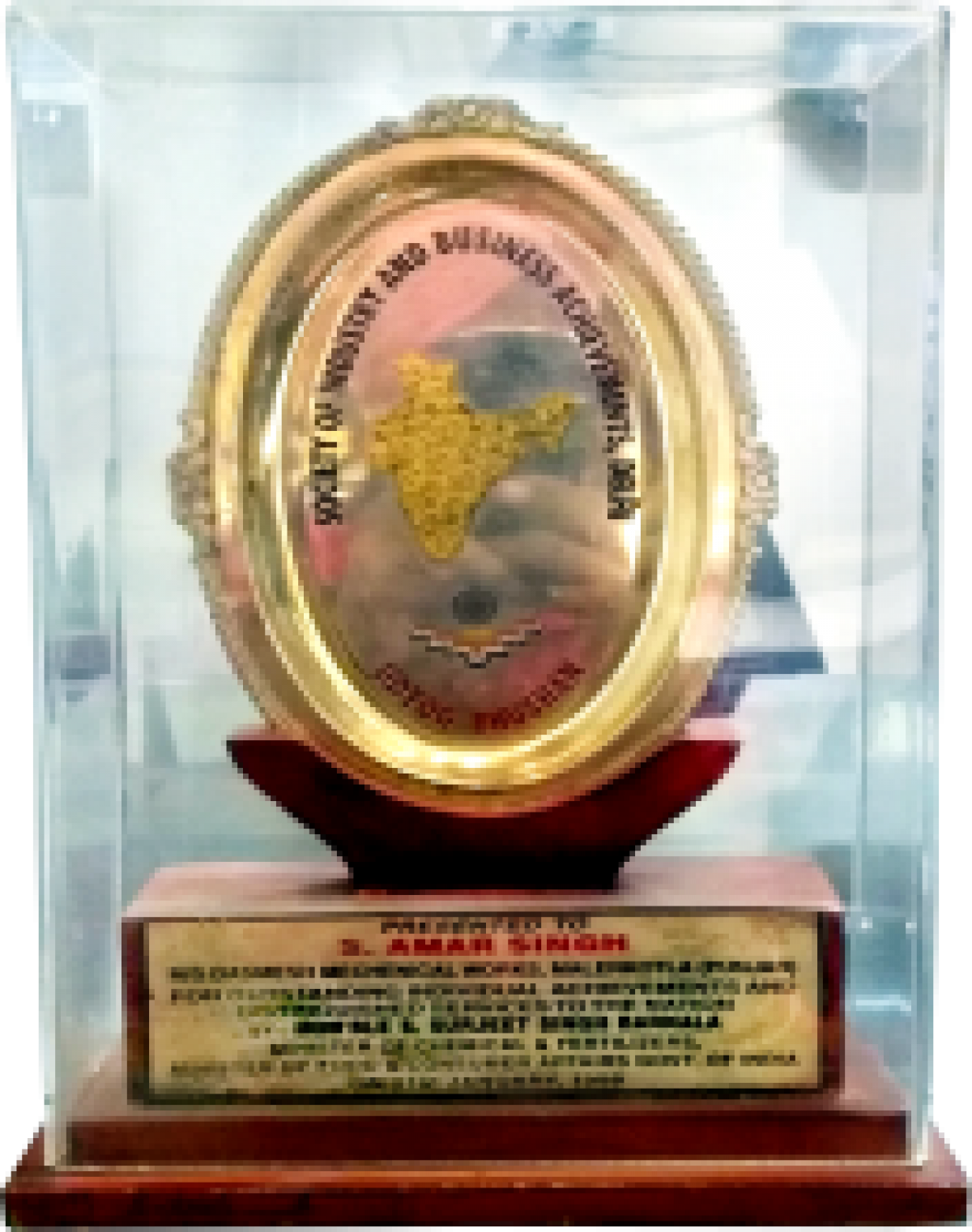 Dasmesh - Udyog Bhushan Award 1999 Winner